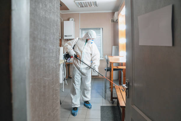 Best Forensic Mold Investigation  in Wayne, MI