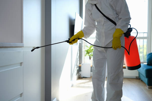 Trusted Wayne, MI Mold Removal Experts